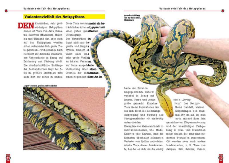 Preview: Der Netzpython